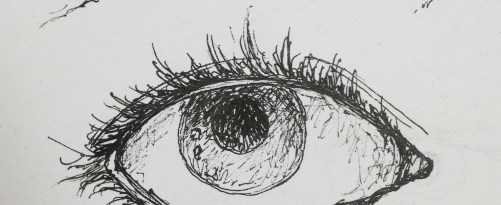 eye observation in pen